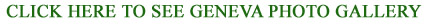 see greenhouse kits and greenhouses 